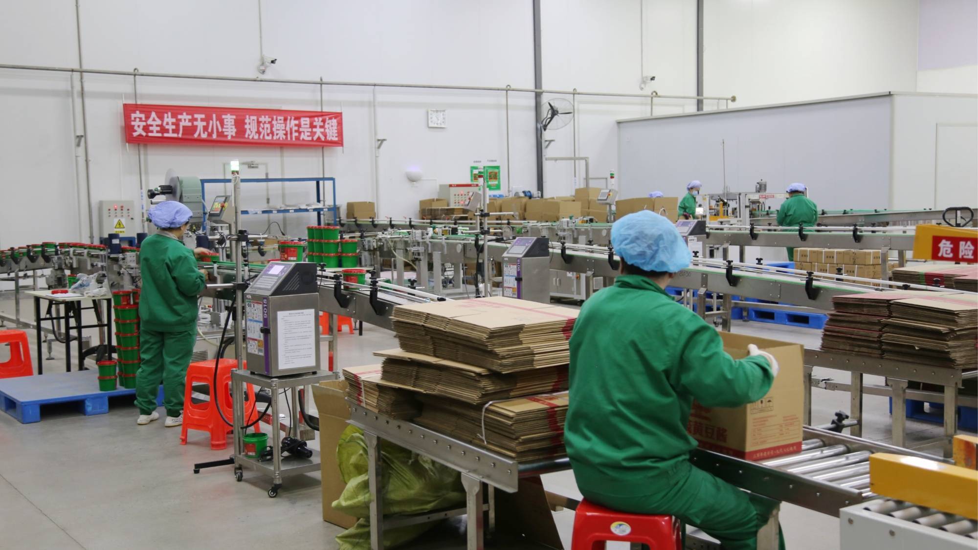 河北定興 “鏈”上發力 食品產業煥新機